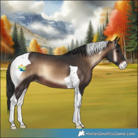 Horse Color:Brown Onyx Tobiano Appaloosa 