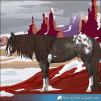 Horse Color:Liver Chestnut Blanket 