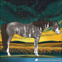 Horse Color:Liver Chestnut Sabino 