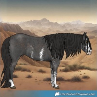 Horse Color:Liver Chestnut Sabino
