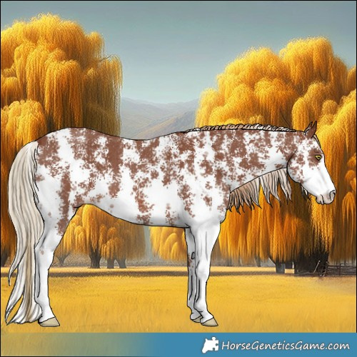 Horse Color:Chestnut Sabino 
