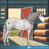Horse Color:Nacre Silver Brown Roan Splash 