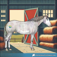 Horse Color:Nacre Silver Brown Roan Splash 