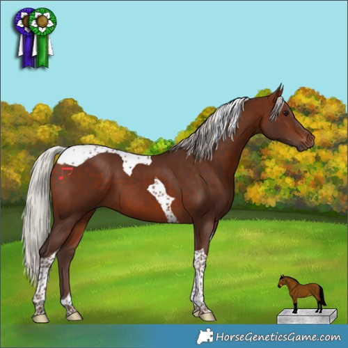 Horse Color:Silver Bay Tobiano 