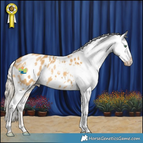 Horse Color:White Spotted Palomino Dun Appaloosa 