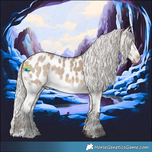 Horse Color:Silver Brown Dun Splash Appaloosa 