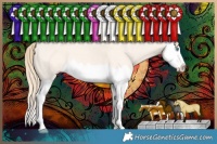 Horse Color:Perlino Dun Splash