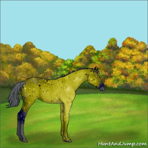 Horse Color:ERROR: UNKNOWN ANOMALY