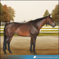 Horse Color:Brown 