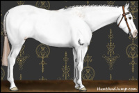 Horse Color:Red Dun Sabino Splash Blanket