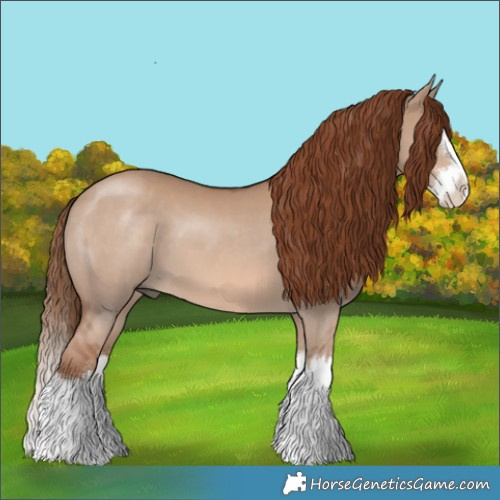 Horse Color:Red Dun Splash 