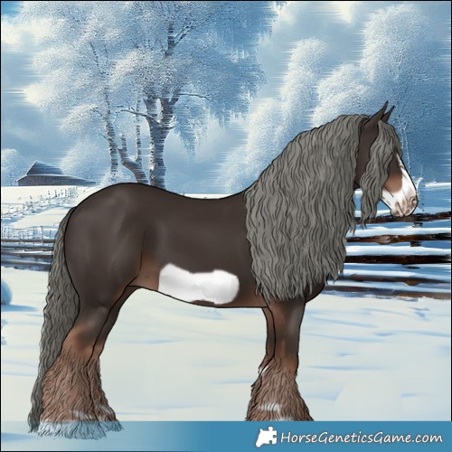 Horse Color:Liver Chestnut Mushroom Frame 