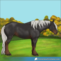 Horse Color:Liver Chestnut Mushroom 