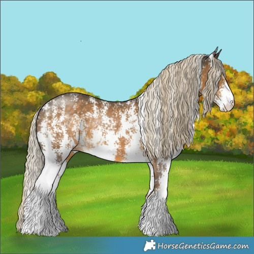 Horse Color:Chocolate Palomino Mushroom Sabino Rabicano 