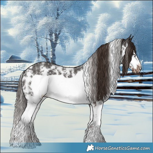 Horse Color:Liver Chestnut Sabino Frame 