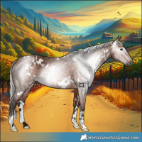 Horse Color:Gray White Spotted Silver Bay