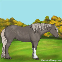Horse Color:Silver Black 