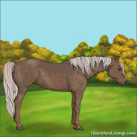 Horse Color:Silver Black 