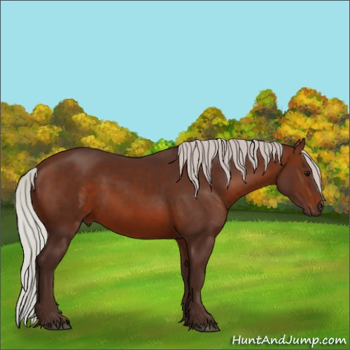 Horse Color:Silver Brown