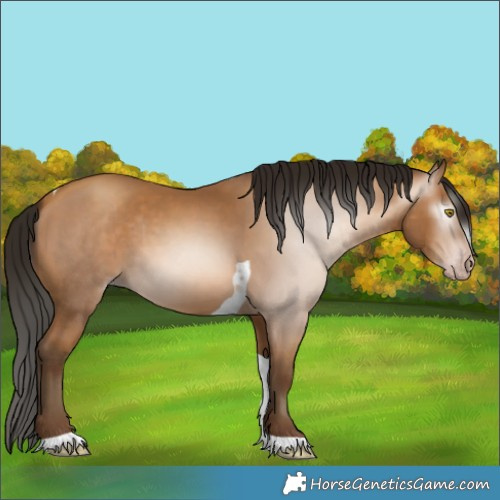 Horse Color:Gray Amber Champagne Tobiano 