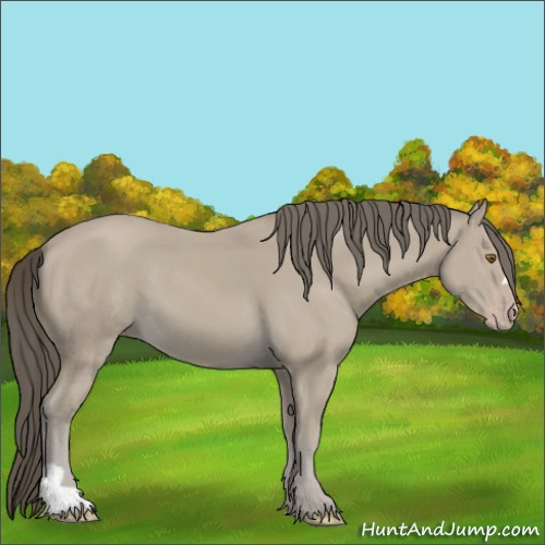 Horse Color:Classic Cream Champagne