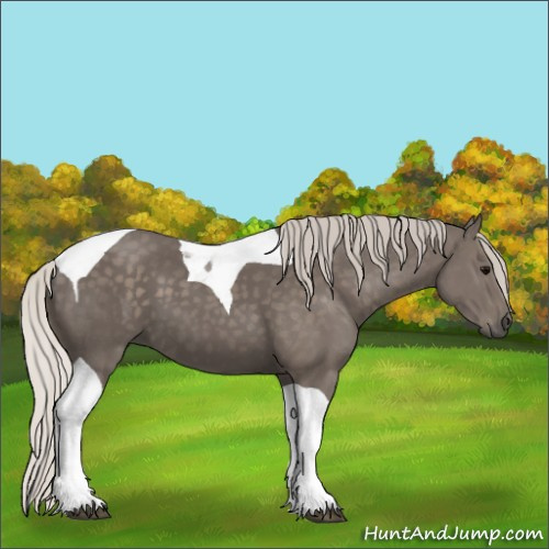 Horse Color:Silver Black Tobiano