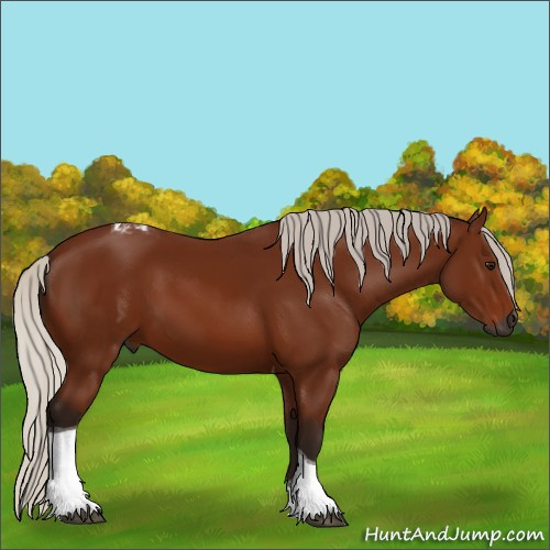 Horse Color:Gray Silver Bay Tobiano