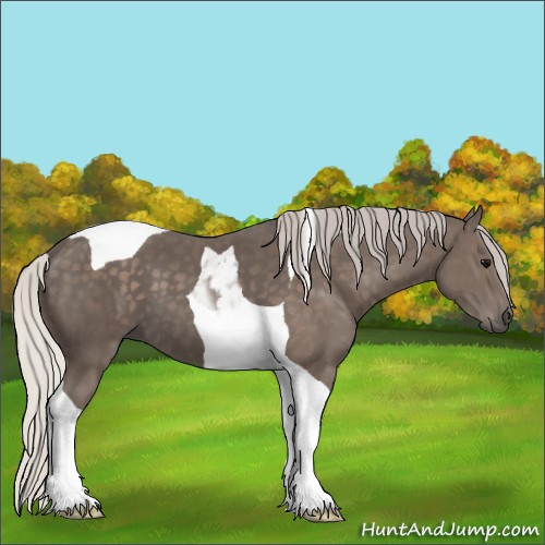 Horse Color:Silver Black Tobiano 