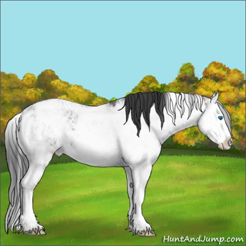 Horse Color:Grullo Sabino Splash 