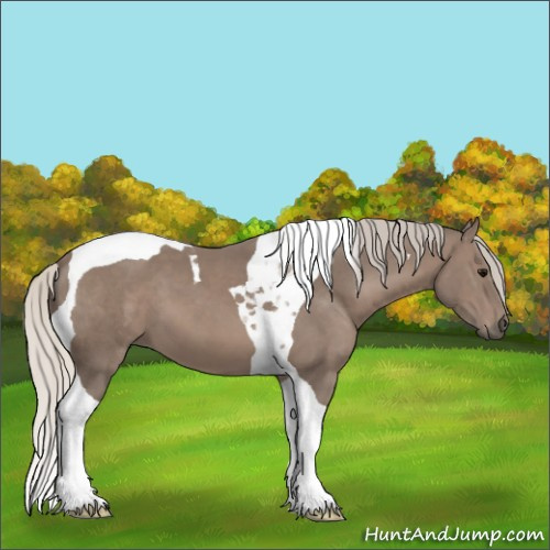 Horse Color:Silver Black Tobiano 
