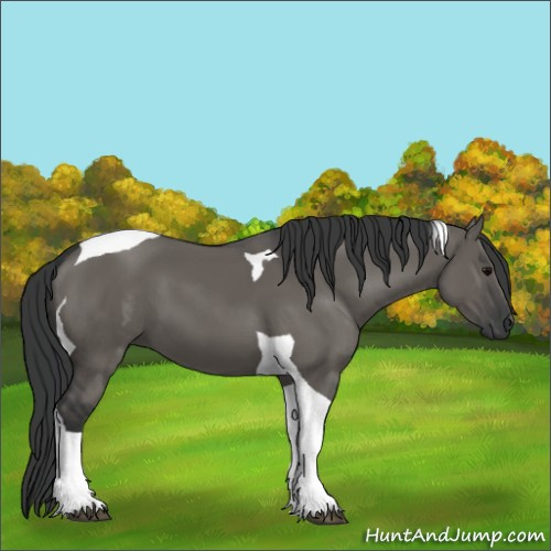 Horse Color:Grullo Tobiano 