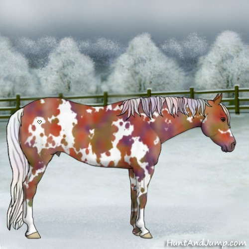Horse Color:Nacre White Spotted Silver Bay 