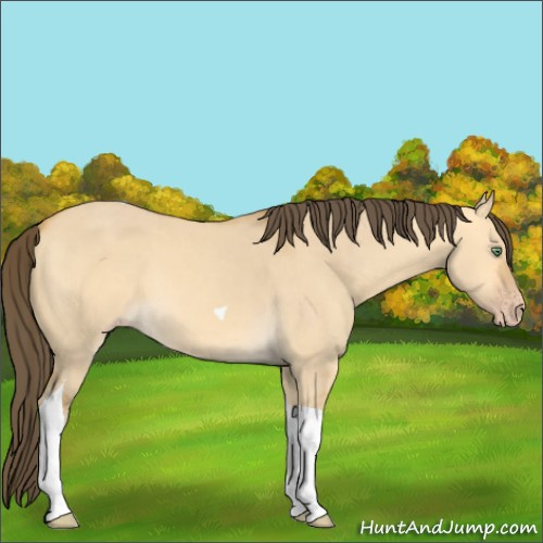 Horse Color:Amber Cream Champagne Dun Tobiano 