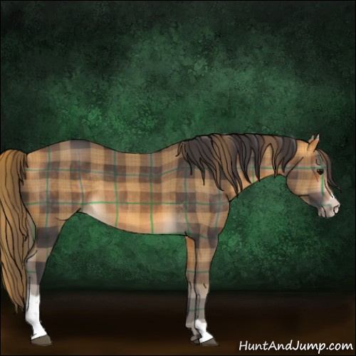 Horse Color:Plaid Buckskin Sabino
