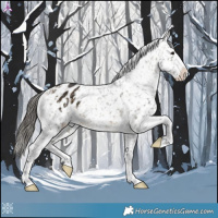Horse Color:Buckskin Snowflake Varnish