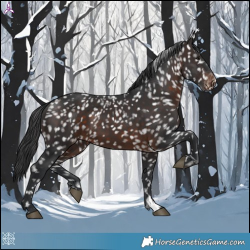 Horse Color:Brown Snowflake Varnish