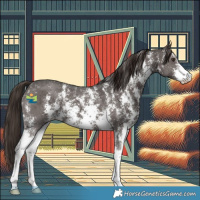 Horse Color:Liver Chestnut Sabino 
