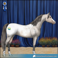 Horse Color:Brown Roan Dun Snowcap Rabicano 