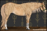 Horse Color:Chestnut and Red Dun