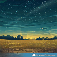 Horse Color:Brown Sabino Splash