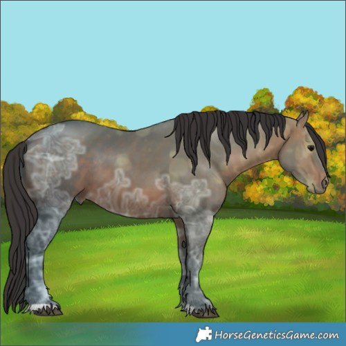 Horse Color:Brown Ice Sabino 