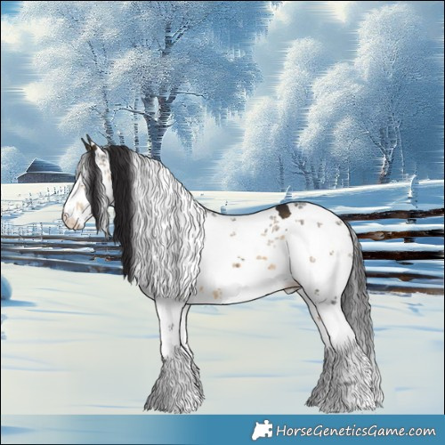 Horse Color:Buckskin Sabino Rabicano 