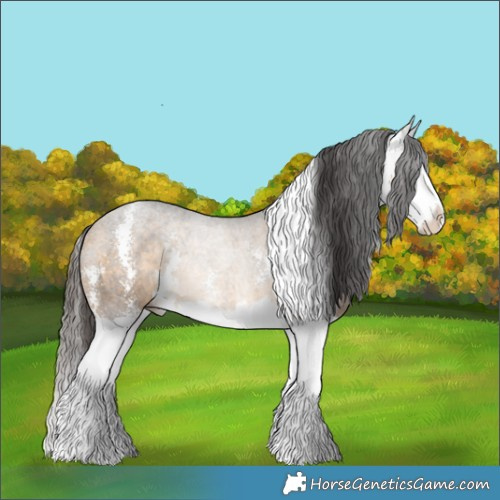 Horse Color:Buckskin Sabino Splash Rabicano 