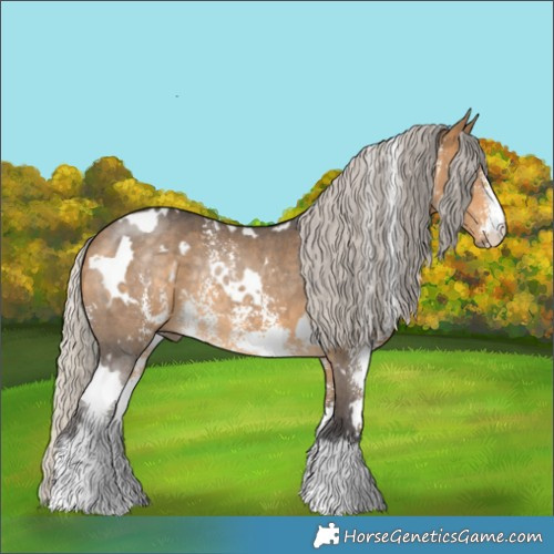 Horse Color:White Spotted Silver Buckskin Sabino Rabicano 