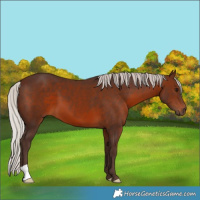 Horse Color:Silver Brown 