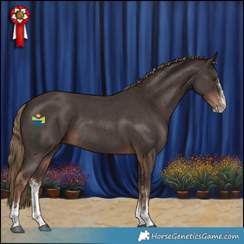 Horse Color:Liver Chestnut Sabino Rabicano 