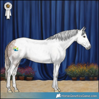 Horse Color:Gray Chestnut Splash Tobiano 