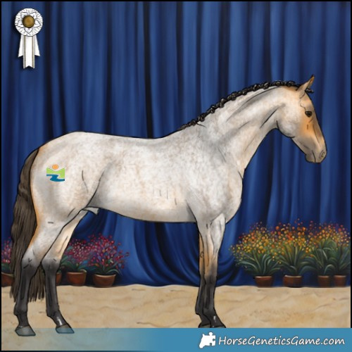 Horse Color:Buckskin Roan 