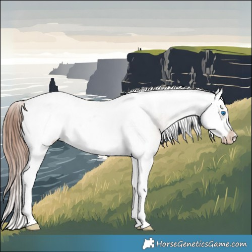 Horse Color:Liver Red Dun Splash Tobiano Frame Appaloosa