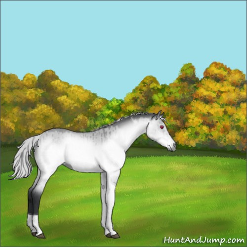 Horse Color:Silver Brown Chinchilla Dun Tobiano Brindle 